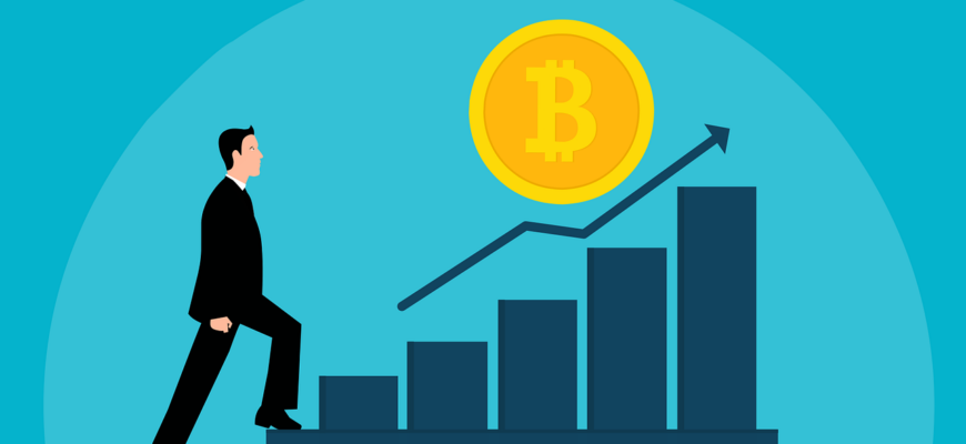 bitcoin, investment, business, profitability, chart, success, finance, diagram, currency, cryptocurrency, money, graph, coin, market, btc, organization, economy, achievement, growth, profit, exchange, company, bitcoin, bitcoin, bitcoin, bitcoin, bitcoin, cryptocurrency, cryptocurrency, cryptocurrency, cryptocurrency