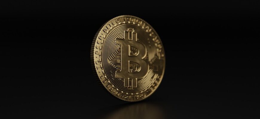 cryptocurrency, bitcoin, crypto, coin, money, 3d render, bitcoin, bitcoin, bitcoin, bitcoin, bitcoin